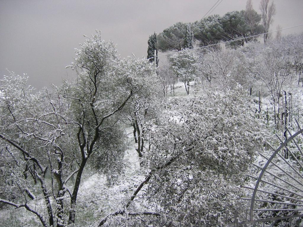 B&B Mare E Monti La Spezia Pokój zdjęcie